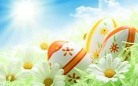 pic for Easter Eggs And Daisies 